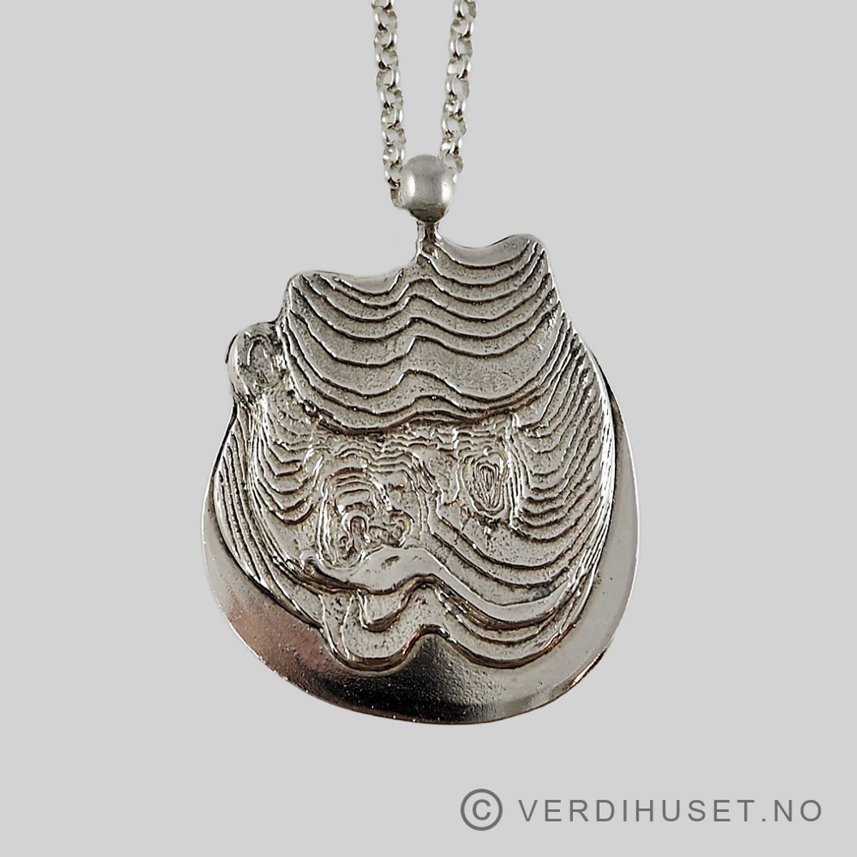 Anheng i sølv - Tone Vigeland